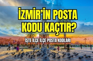 İzmir ilinin posta kodu kaçtır?