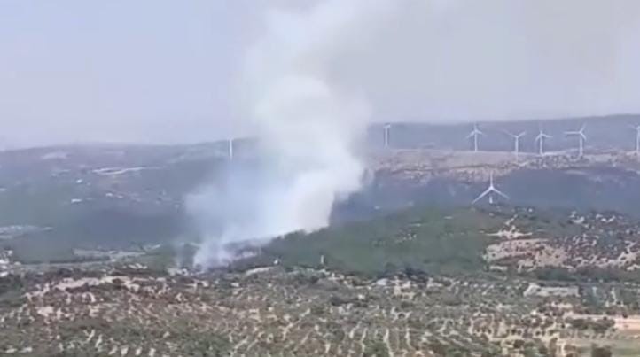 İzmir Bergama'da orman yangınına havadan ve karadan müdahale