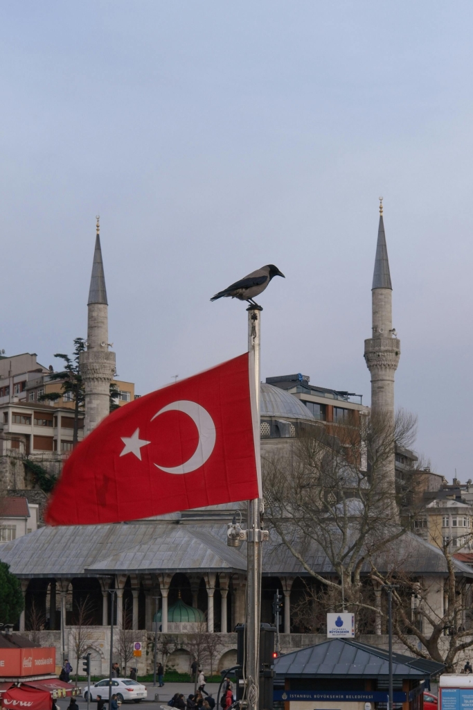 Türkiye'nin tarihî değer taşıyan en eski camileri: İlham veren mimarî ve kültürel zenginlik
