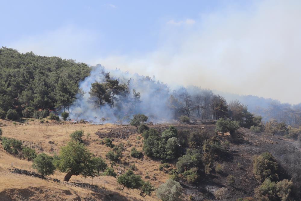 zmir Valisi Süleyman Elban, ekiplerin yangına müdahalede aralıksız çalıştığını belirterek, “Beşyol köyümüzde 3, Sarnıç'ta 4 evimiz hasar aldı” dedi.
